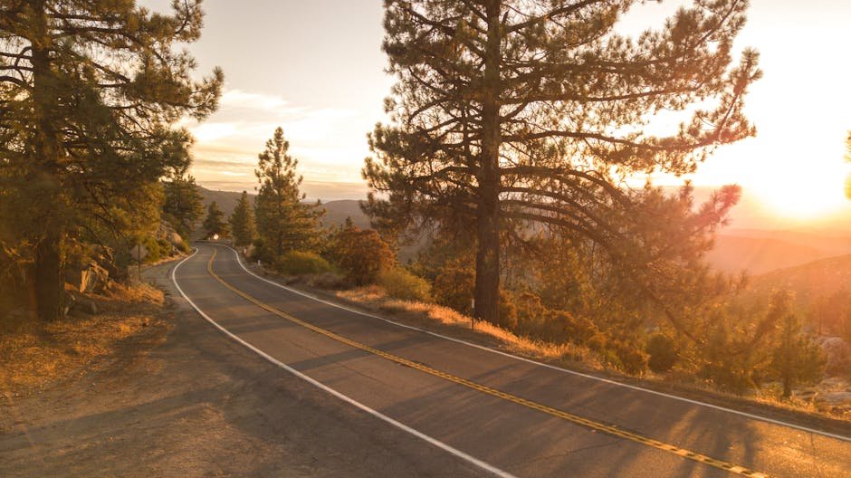 Mastering California Travel Expectations: A Guide to Fulfilling Journeys