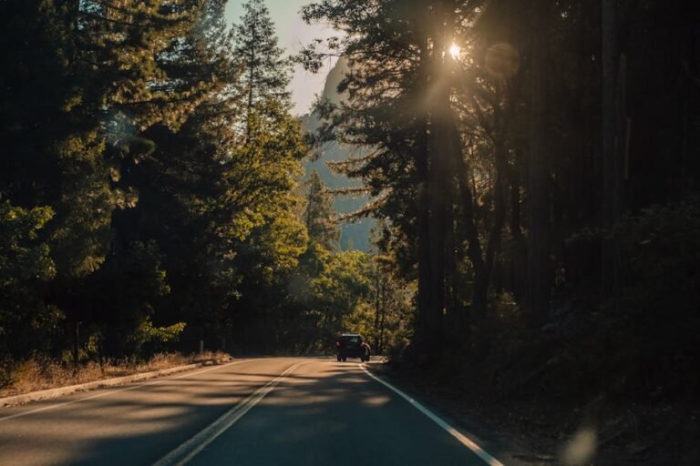 Gabby Petito Case: A California Travel Tragedy & Toxic Relationship Warning