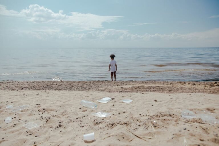 Protecting California's Shores: Understanding the Great Pacific Garbage Patch & Ocean Plastic
