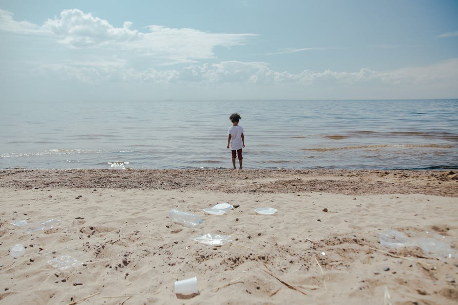 Protecting California's Shores: Understanding the Great Pacific Garbage Patch & Ocean Plastic