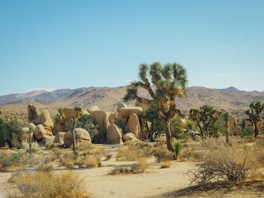 Uncovering California's Hidden Gems: Explore Mysterious Wonders & Ancient Sites