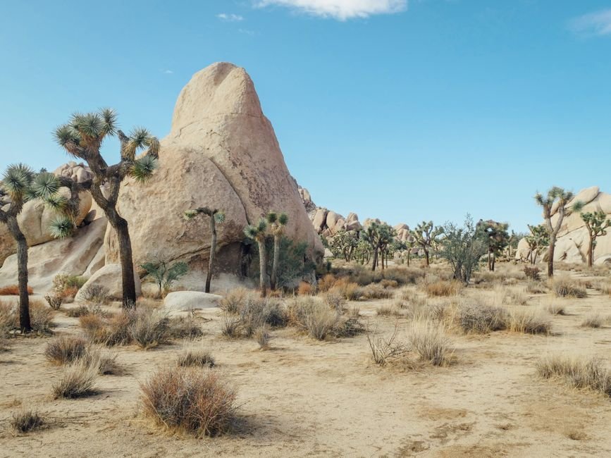 Unearthing California's Sacred Sites: A Journey into Ancient Beliefs