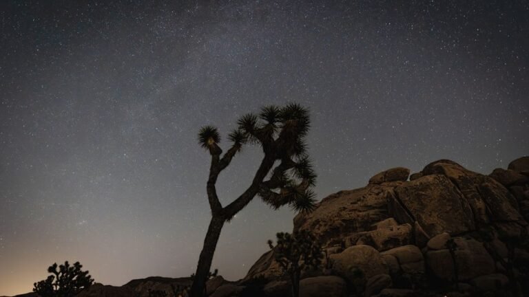 Uncovering California's UFO Hotspots: A Guide to the Golden State's Mysterious Skies