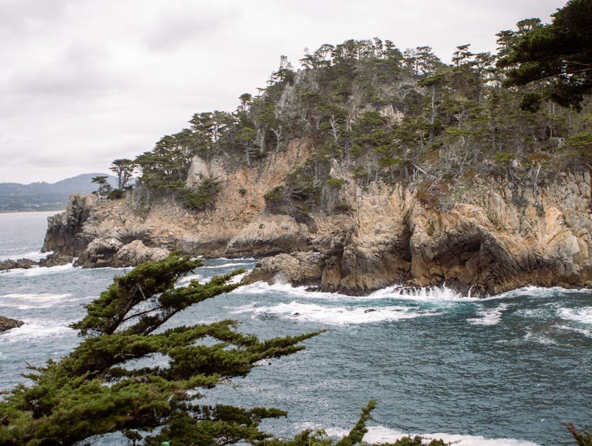 Transcript Analysis: Content Irrelevant for California Travel Blog Post