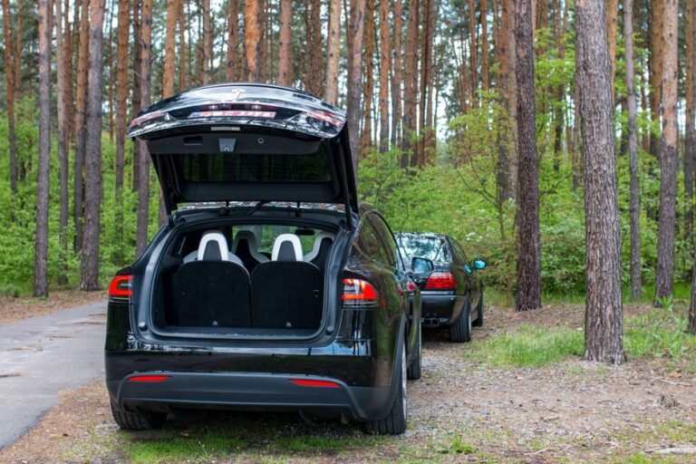 Drive Green: Exploring California with New Eco-Friendly SUV Rentals & EV Infrastructure