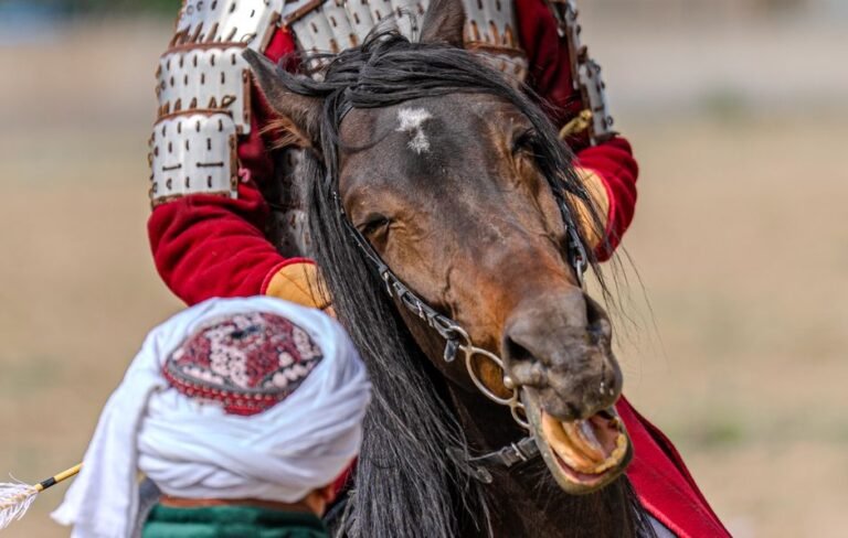 The Rise and Fall of the Karakoyunlu: History of the Black Sheep Turkmen Empire