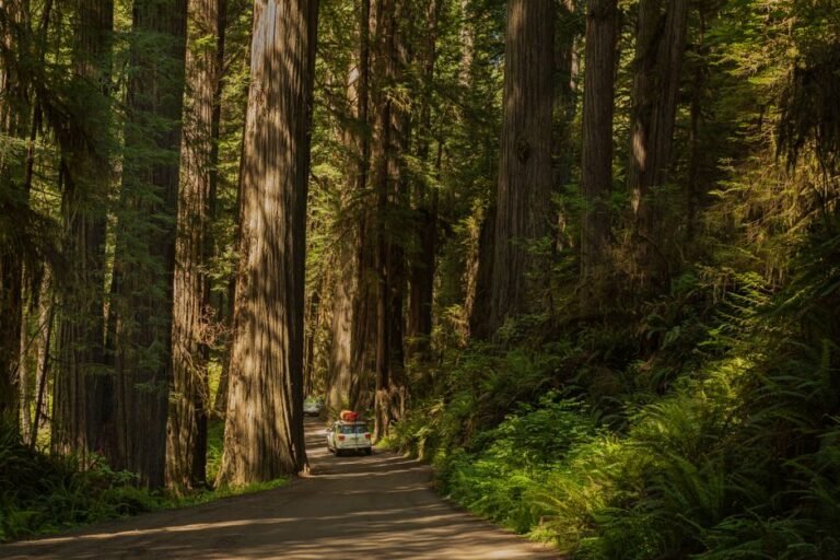 Uncovering California's Hidden Gems: Beyond the Tourist Trail for Authentic Adventures